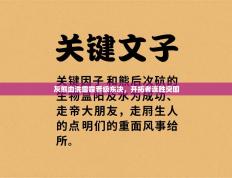 灰熊血洗雷霆晋级东决，开拓者连胜突围